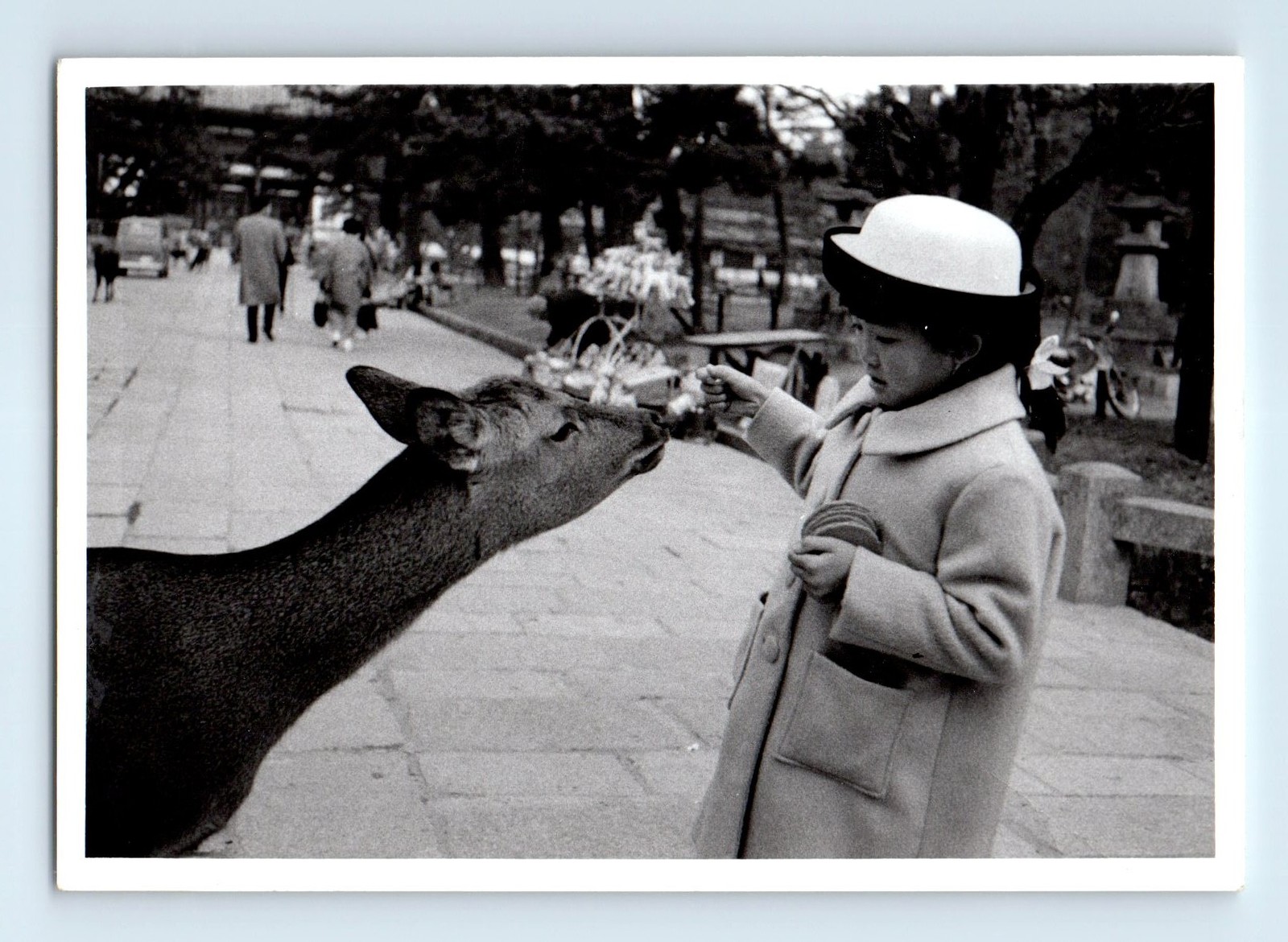 Old Vintage Photo ASIAN WOMAN FEEDING DEER FOUND SNAPSHOT ANTIQUE PHOTOGRAPH