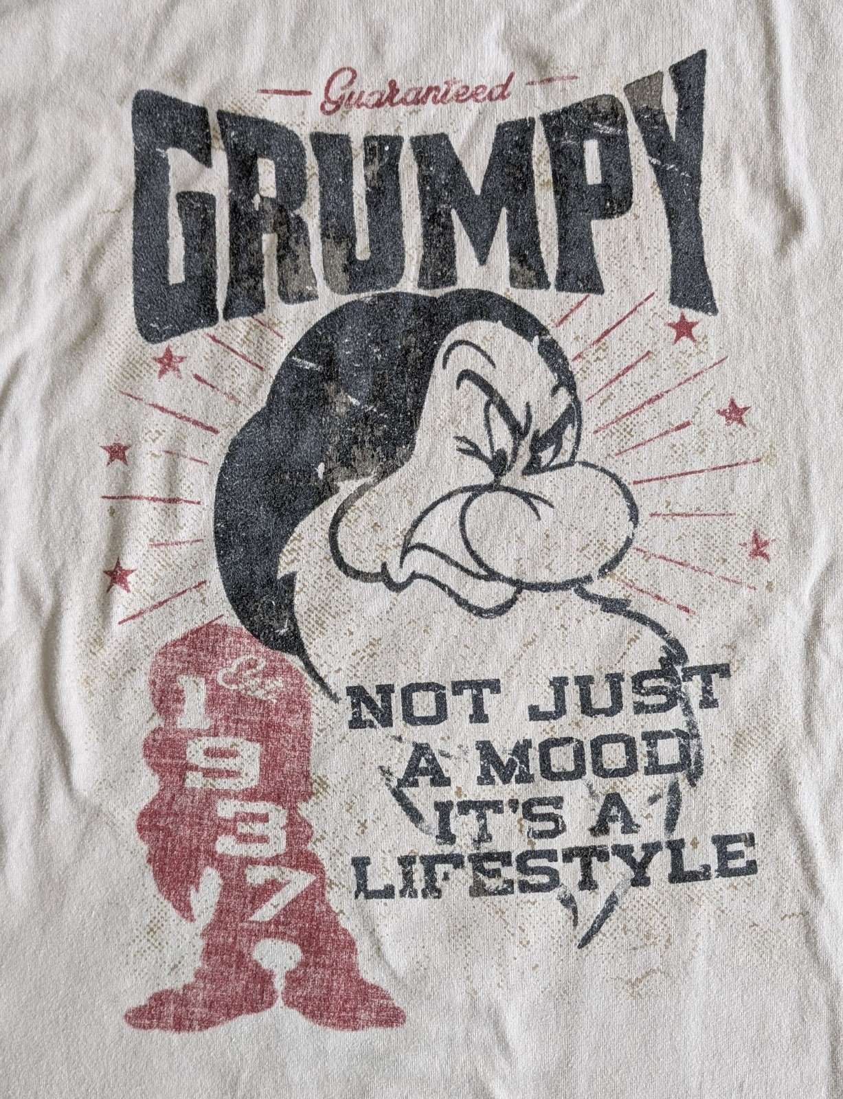 Disney Hanes grumpy tee shirt not just a mood its a lifestyle adult 2XL