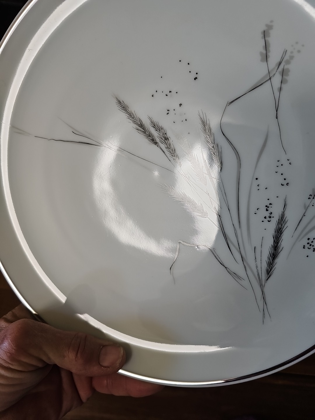 Ceres Easterling 4 Set Dinner Plate Wheat Pattern 10 3/8” 26cm Bavaria German