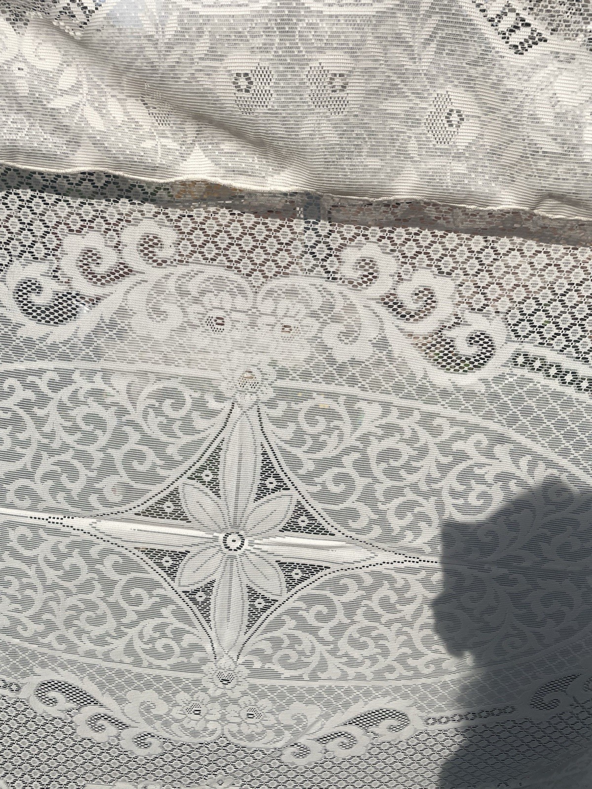 Vintage Nottingham Lace Large Polyester Tablecloth Beige 220x170cm (B83