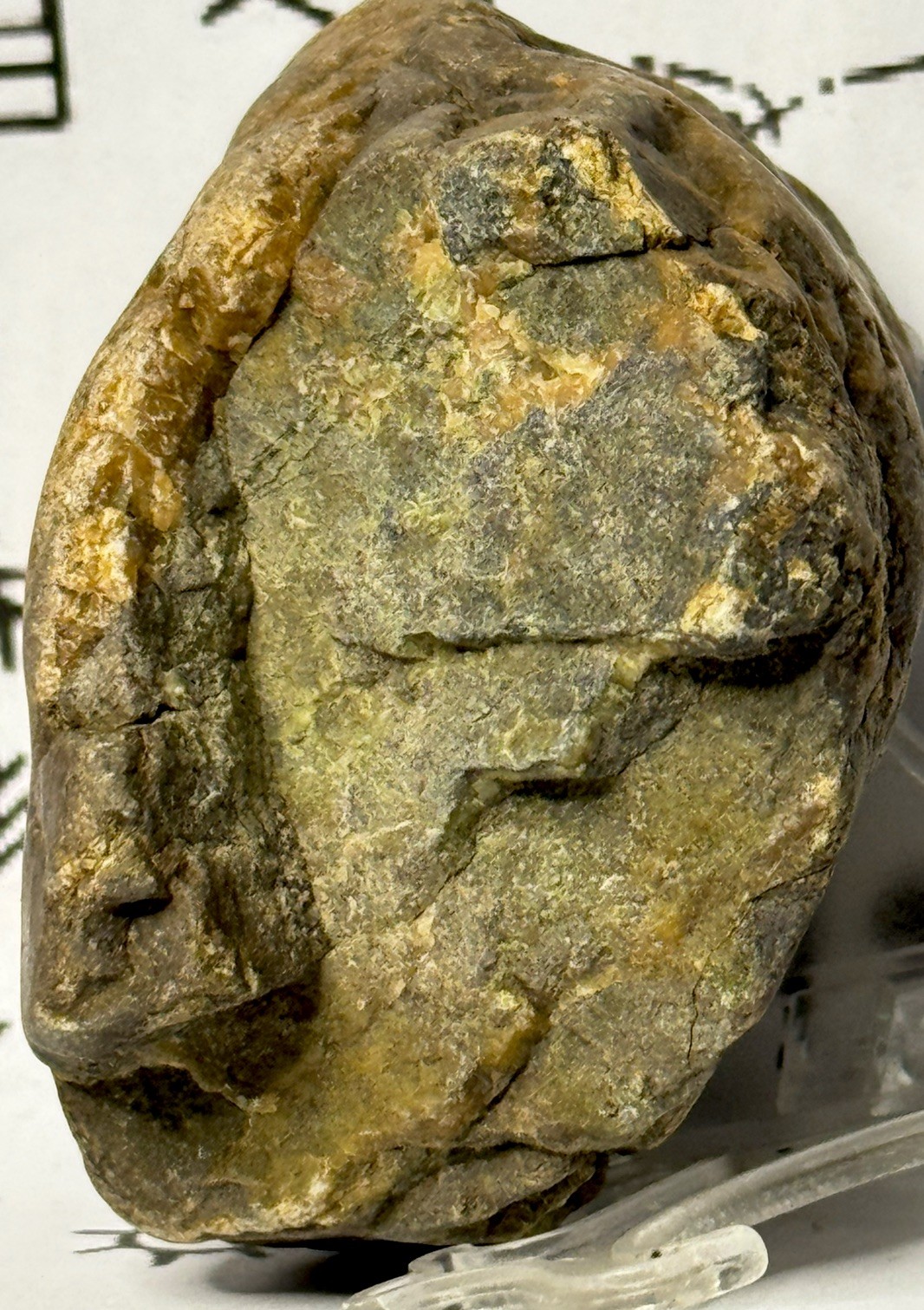 Native American Indian Authentic Stone Effigy Carved Stone , 9.5 oz • VA