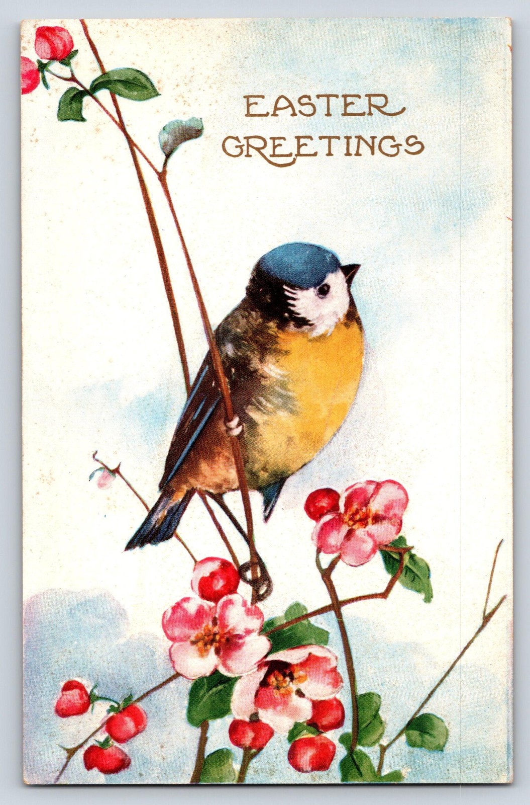 Vintage Whitney Made Easter Bird Printed Lithograph Postcard Unposted 6×4 USA
