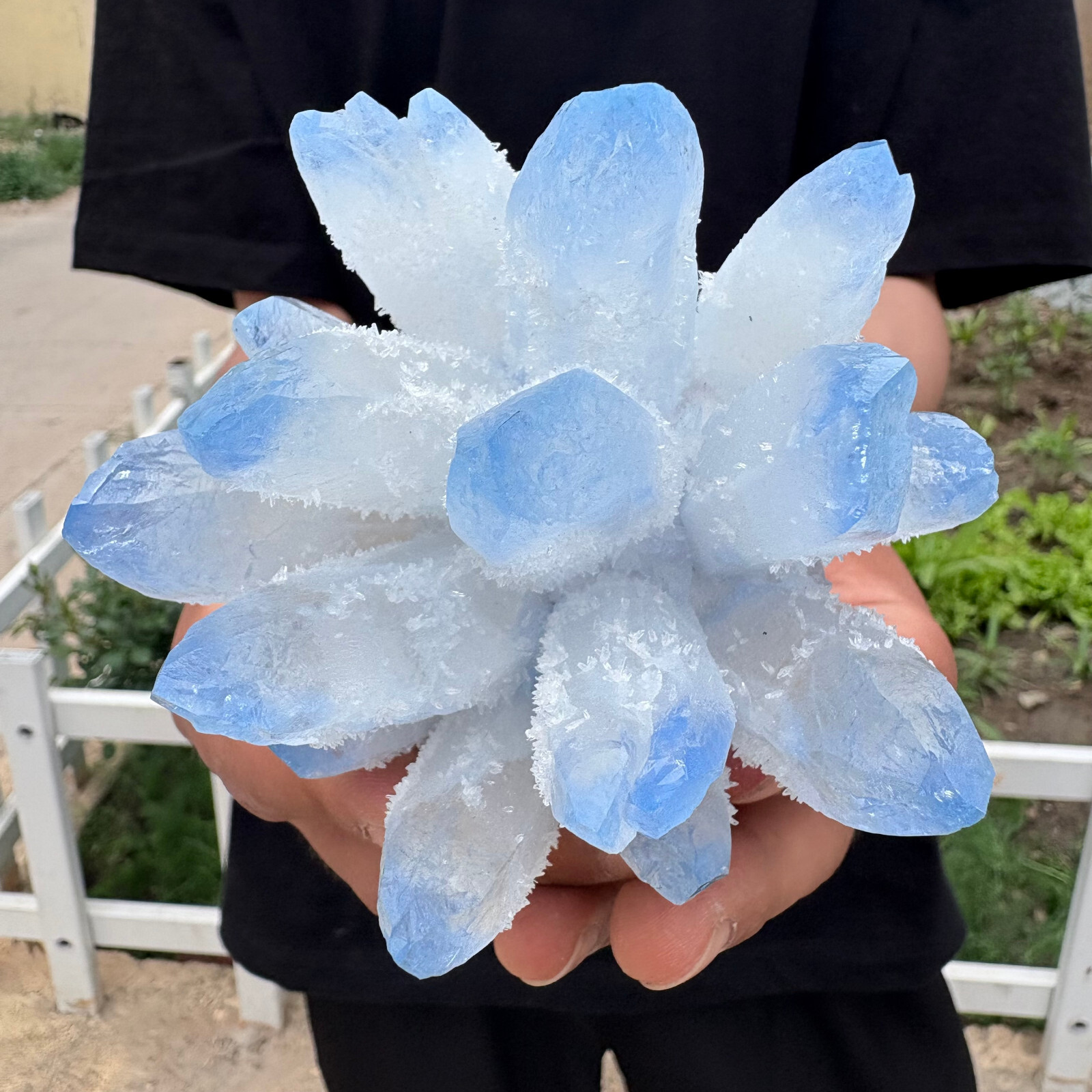 1.3LB New Find blue Phantom Crystal Quartz Cluster Mineral Specimen Healing