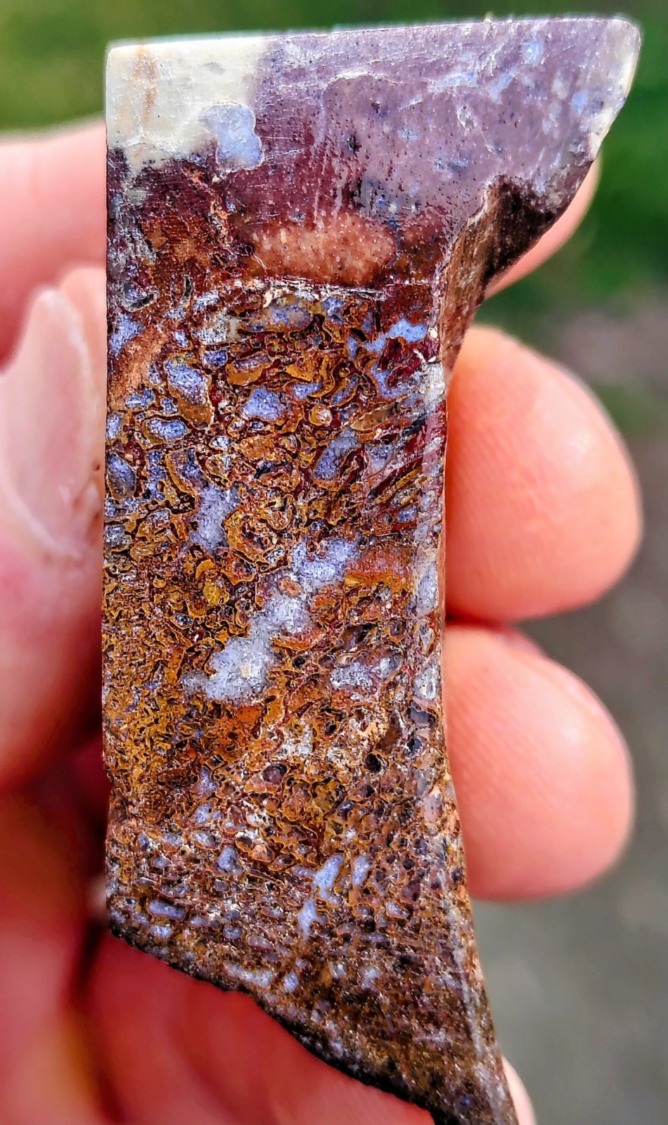 Utah Dinosaur Bone – 53 Grams – 2-1/2″ X 3/4″ X 3/4″ – Polished On One Side