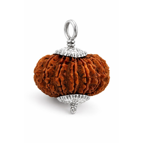 14 Mukhi Rudraksha Bead – The Divine Symbol of Lord Shiva (Lab Certified)