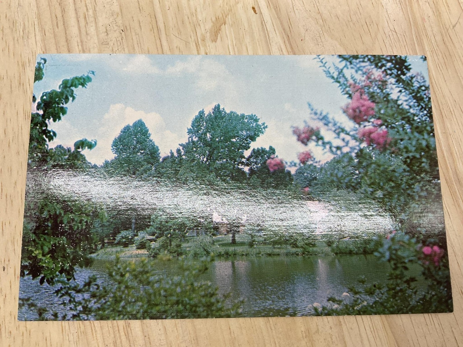 Vintage Elizabeth Lake Jacksonville NC Color Postcard Standard 5.5 X 3.5 In