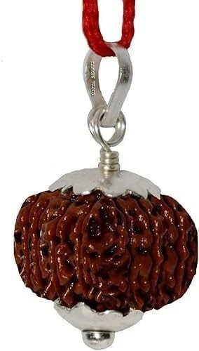 Thirteen Face Rudraksha Bead, 13 Mukhi, Original Nepali, 21 MM