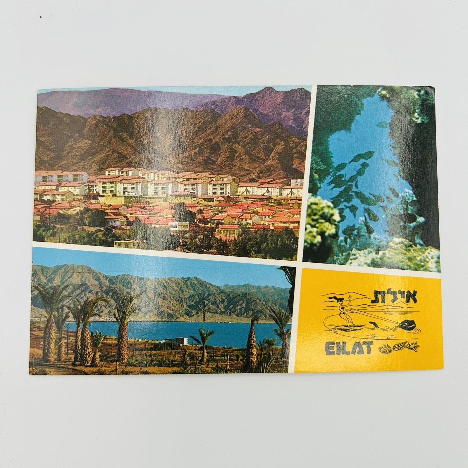 Israel Jewish Eilat Photochrome Postcard Yellow Collage Standard 5.5 X 3.5 In