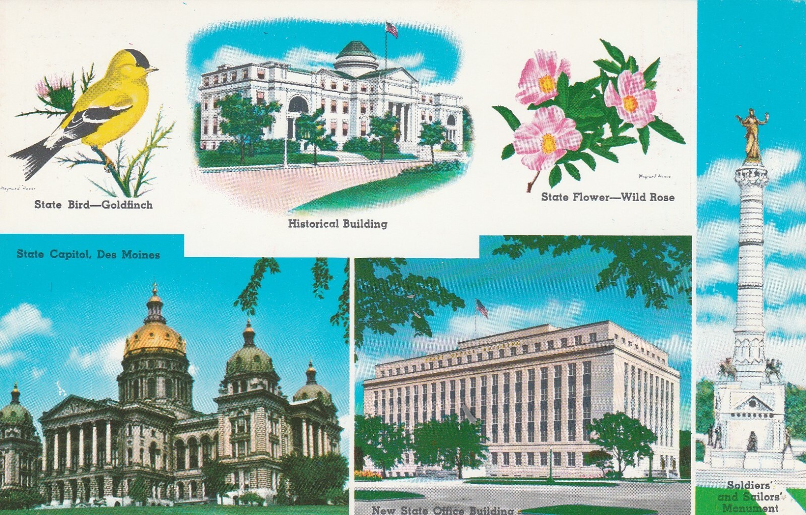 Iowa State Banner And State Tree Plus Multi-Views Souvenir Vintage Postcard