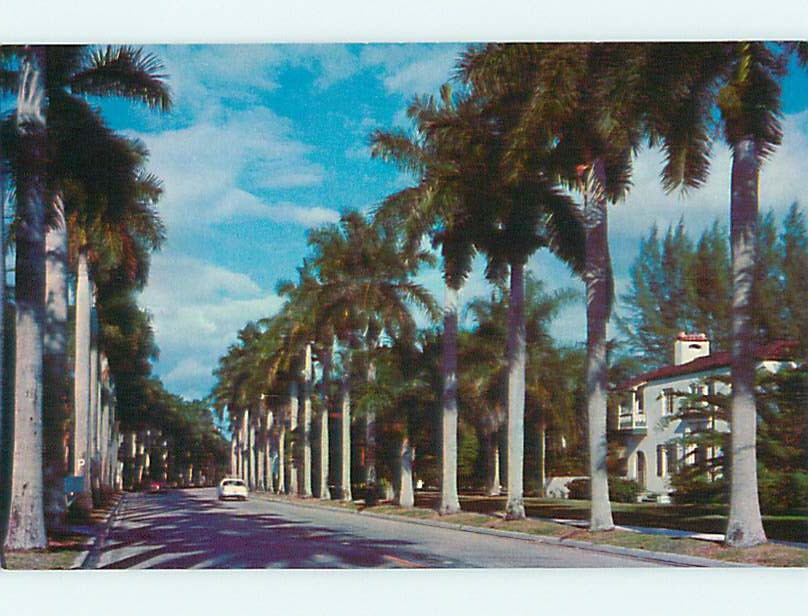 Unused 1950’s OLD CARS & HOME ALONG ROYAL PALMS Ft. Fort Myers Florida FL r9294