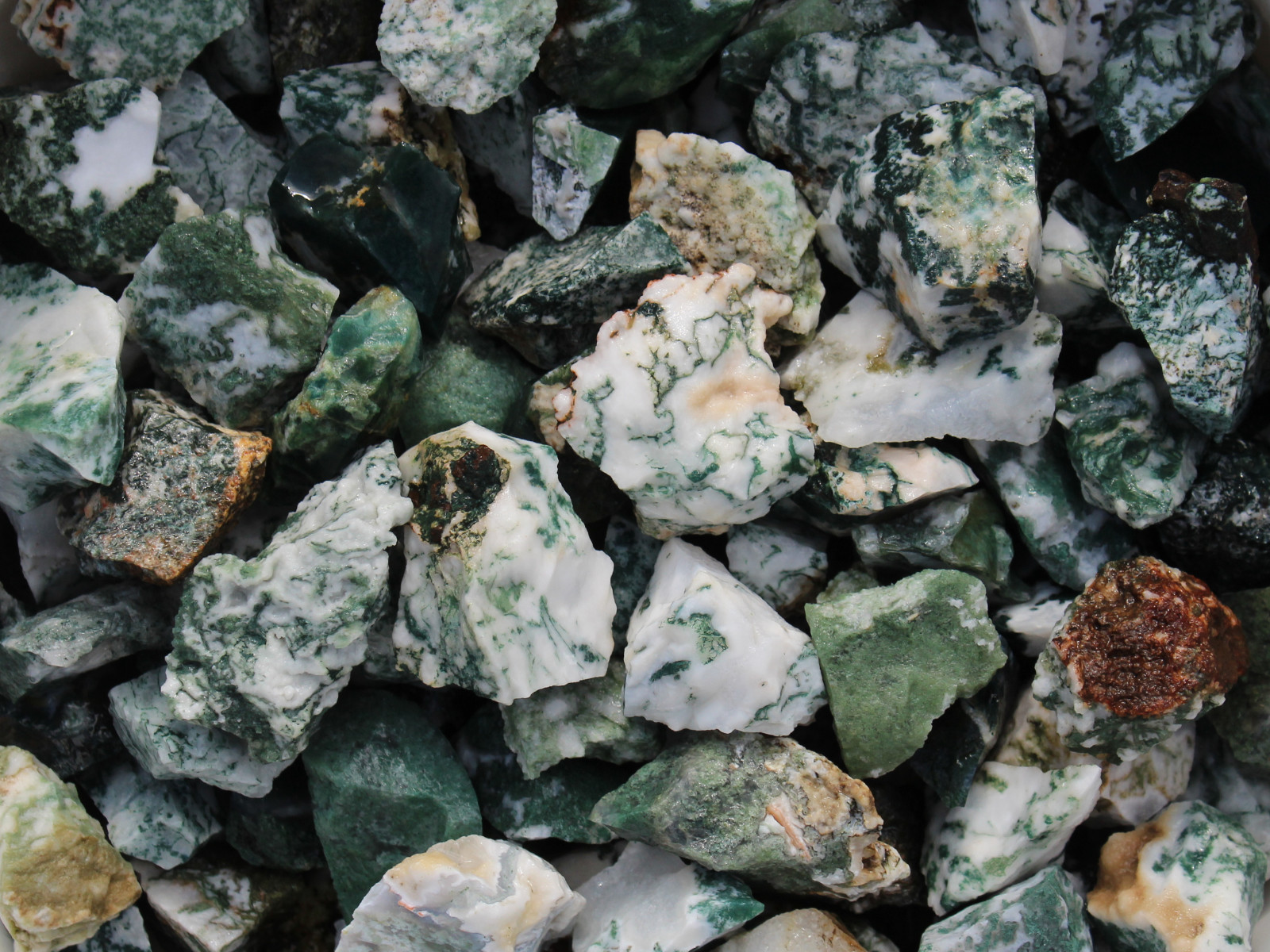 Tree Agate – Rough Rocks for Tumbling – Bulk Wholesale 1LB options