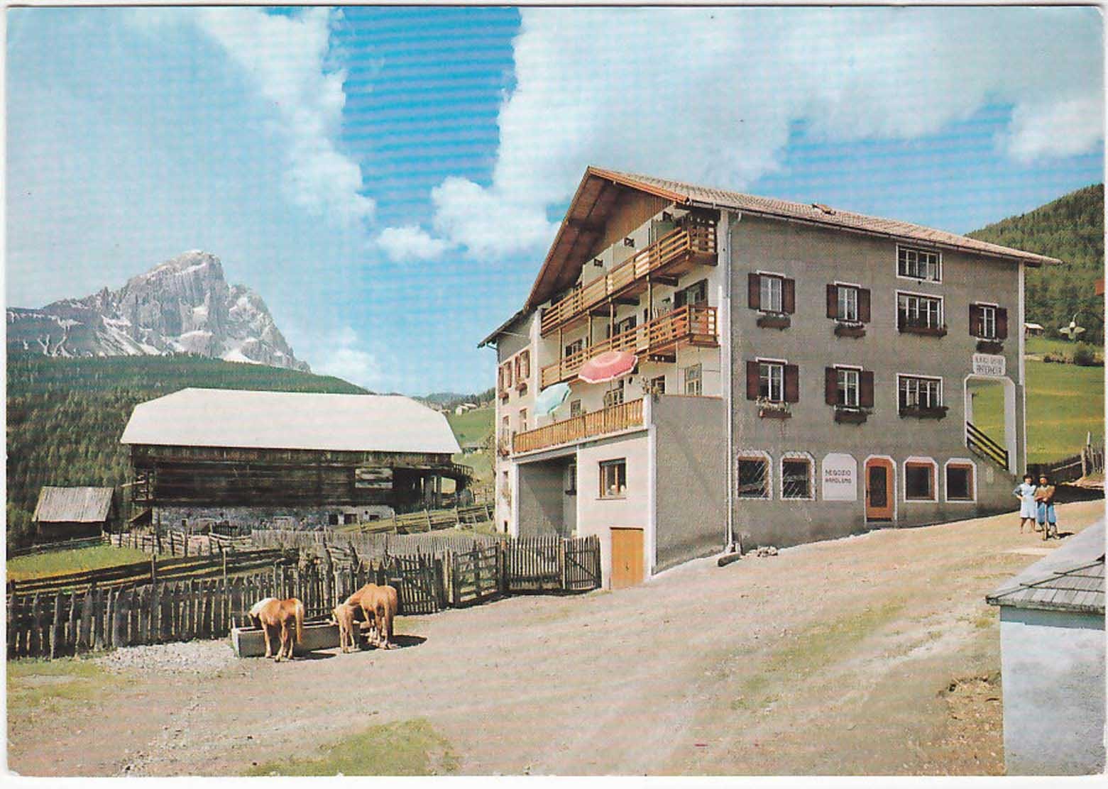PICCOLINO – VAL BADIA – BOLZANO – HOTEL ANTERMOIA -92077-