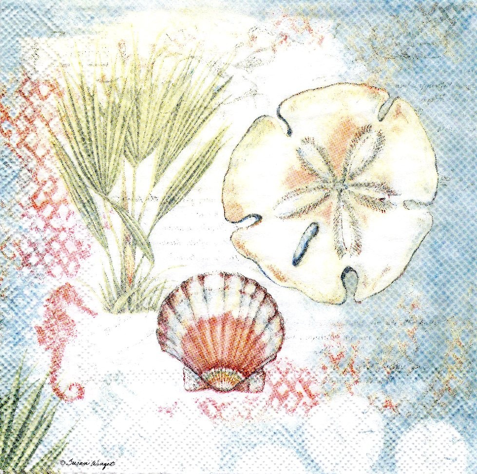 SAND DOLLAR Two Individual Beverage size 3-ply Paper Decoupage Napkins
