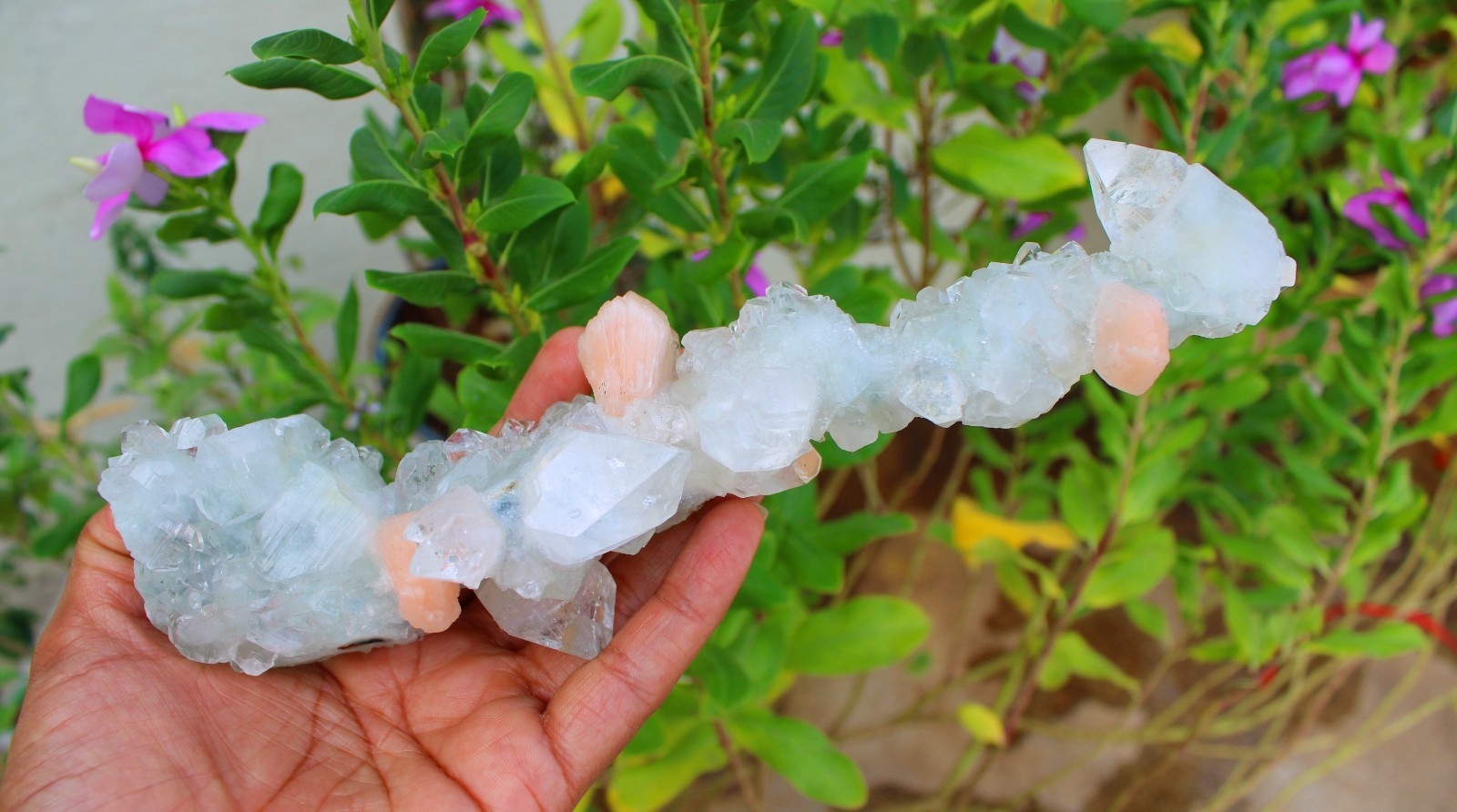 Apophyllite Crystals w/ Stilbite Stalactites Minerals Specimen ( 20X11 ) REPAIR