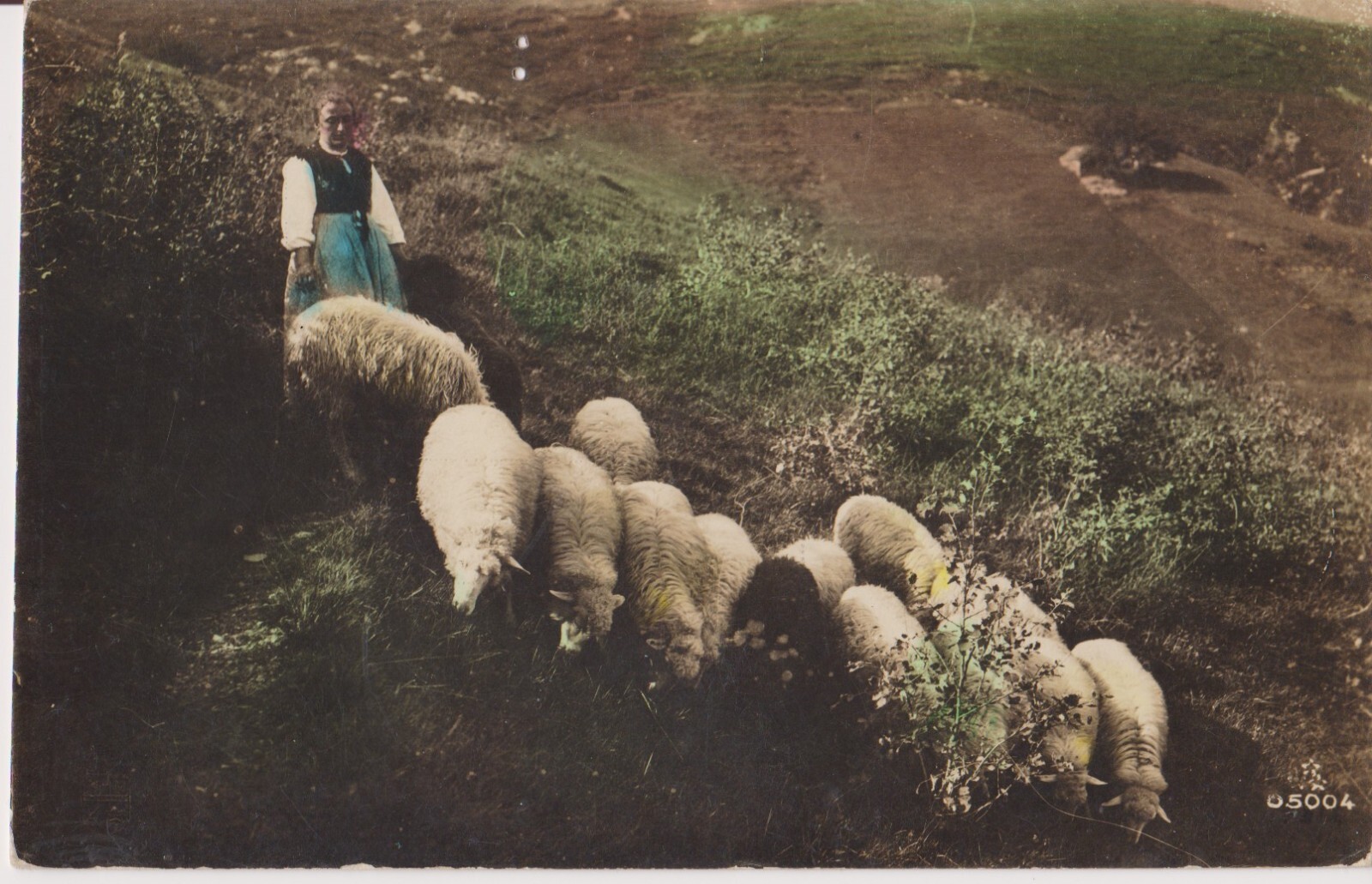 Antique Postcard European Shepherd and Sheep – Early 20th Century