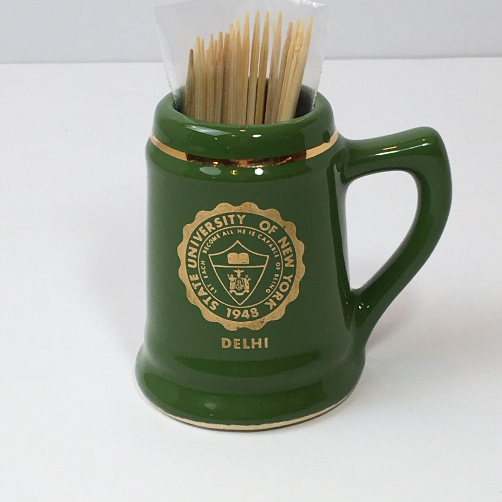 Vintage Delhi University Mini Mug Cup Toothpick Holder SUNY NY College Succulent