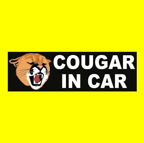 Funny “COUGAR IN CAR” Talladega Nights BUMPER STICKER Ricky Bobby NASCAR jdm