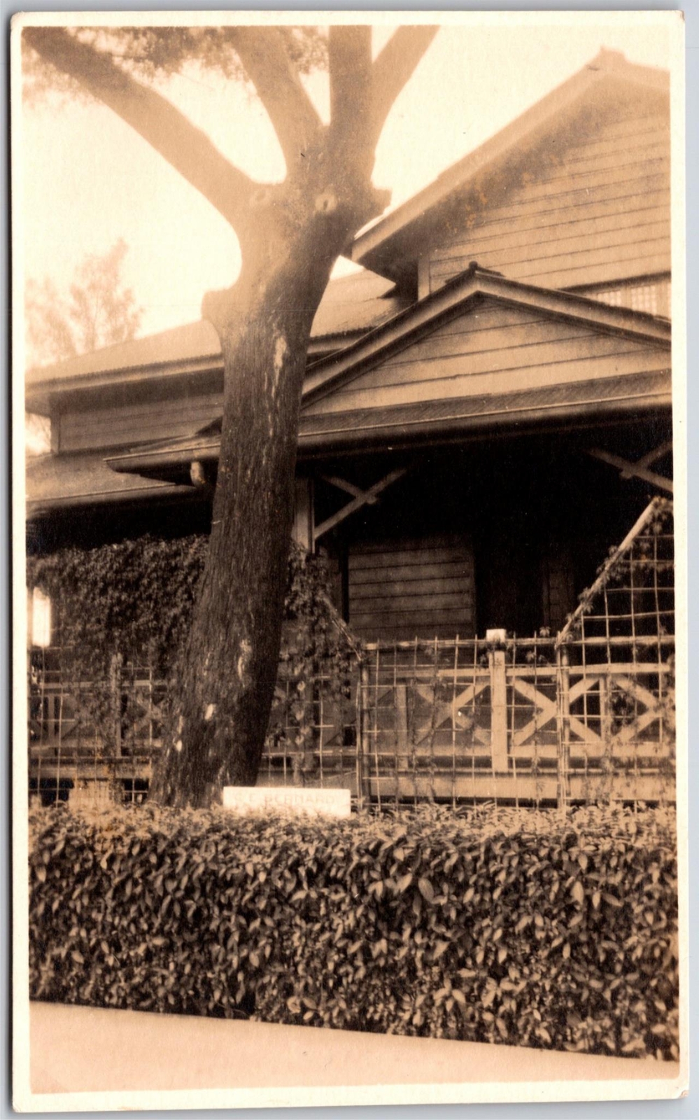 Home Front Porch Large Tree, Real Photo RPPC, Vintage Postcard