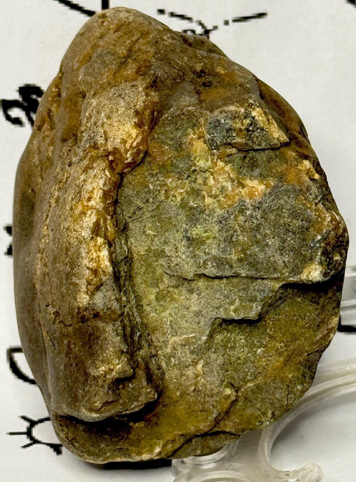 Native American Indian Authentic Stone Effigy Carved Stone , 9.5 oz • VA