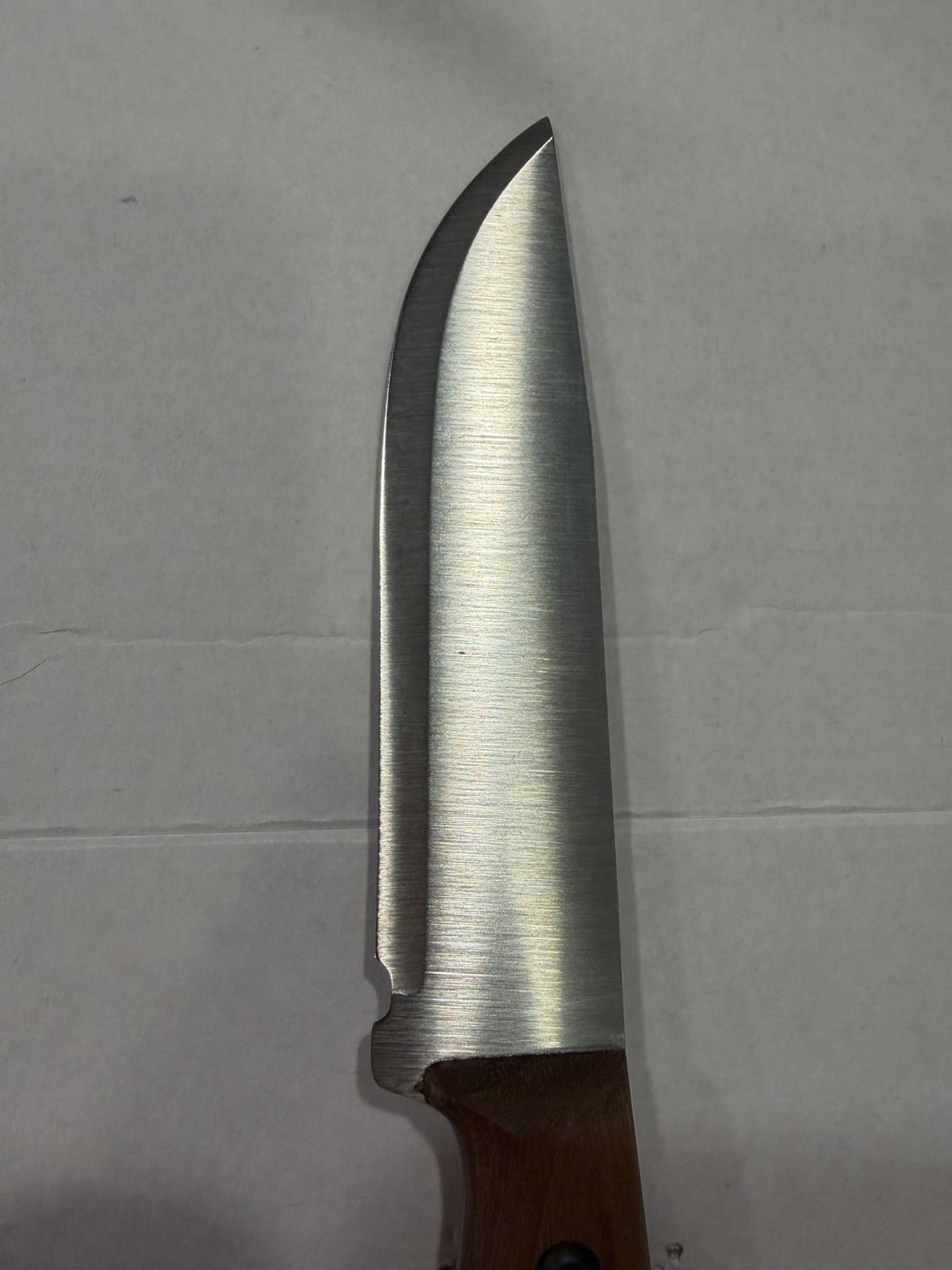 BPS Knives Compact Camping Fixed Knife 3.75″ 1066 Steel Full Blade Walnut Handle