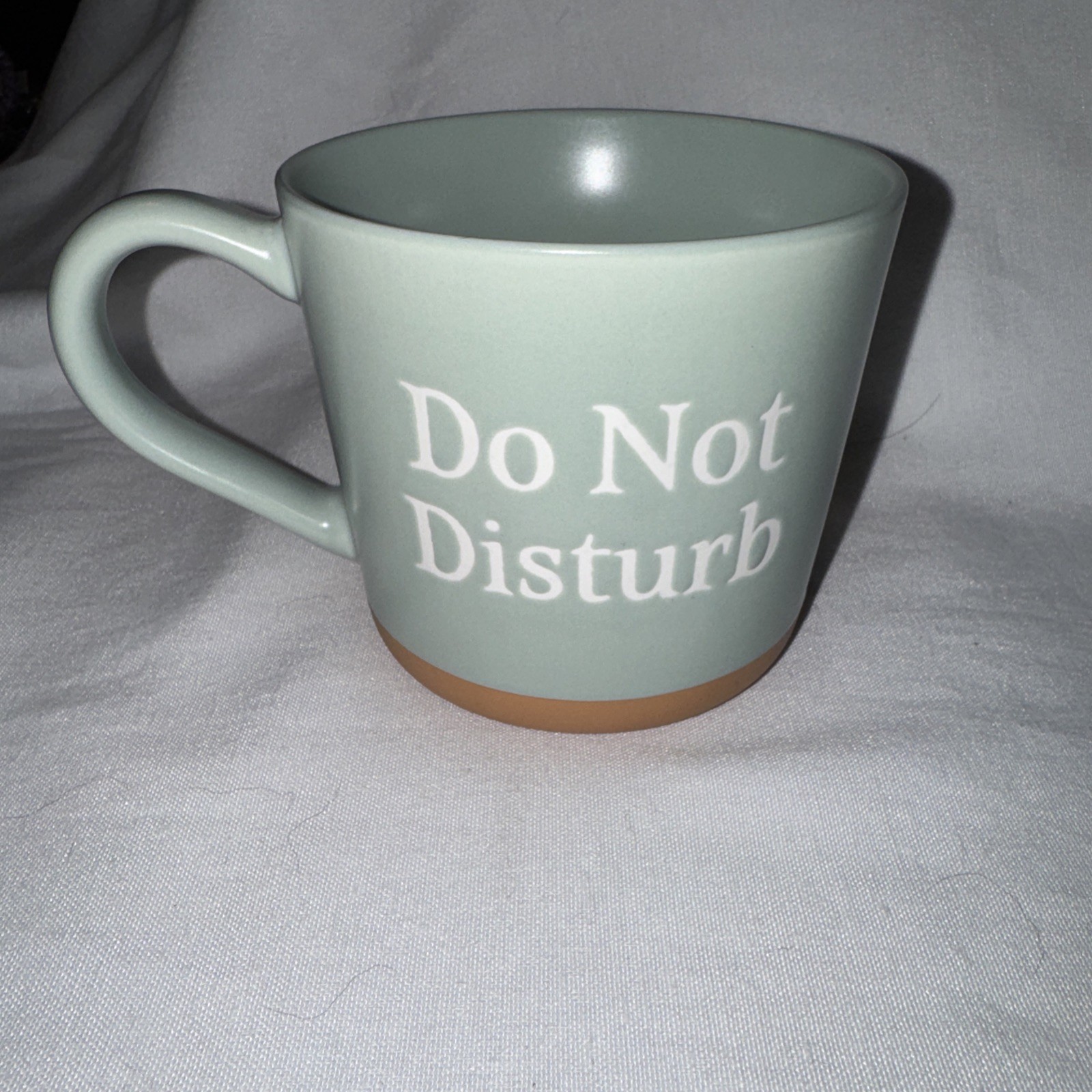 Threshold Stoneware ‘Do Not Disturb’ Mint & Tan Coffee Tea Mug Cup -16 oz- NEW