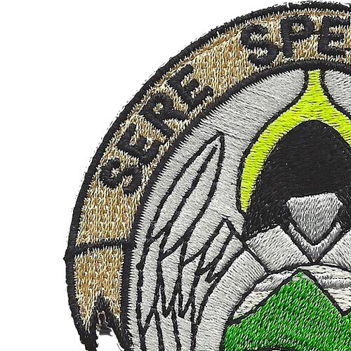Air Force SERE Specialist Delta Patch Hook And Loop