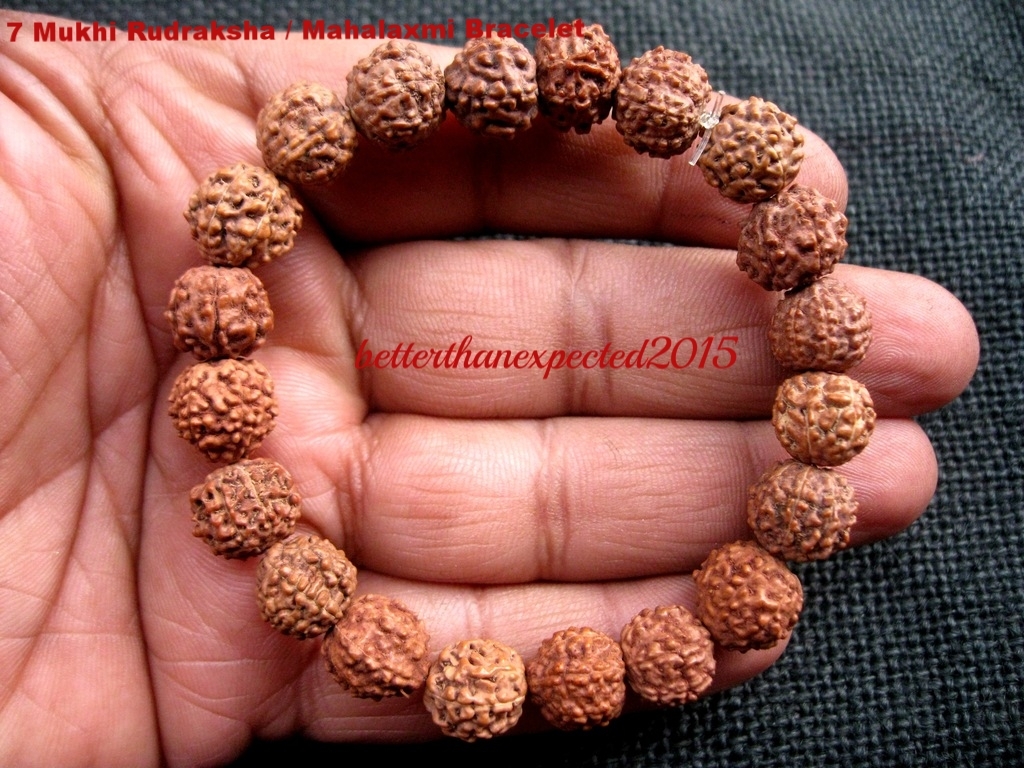 7 Mukhi Rudraksha / Seven Face Rudraksh / Mahalaxmi Bracelet – Java – 20 Beads