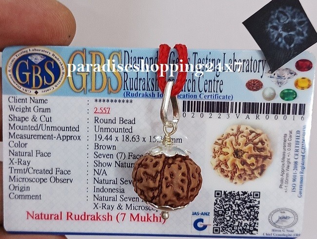 7 Mukhi Rudraksha/Seven Face Rudraksh Nepal Bead Size 18-20 MM Pendant-Certified