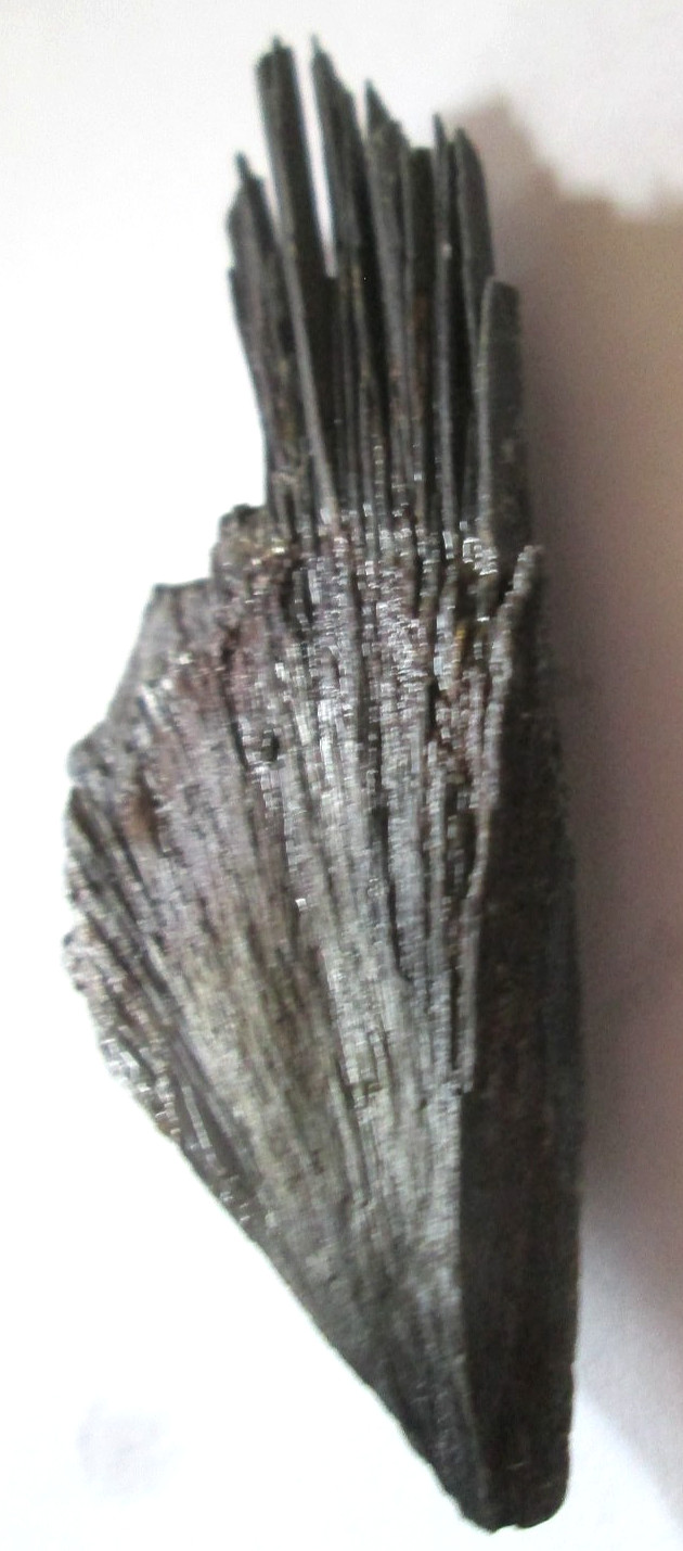 Black Kyanite 3 x 1.5 x 0.25 inches 24.77g