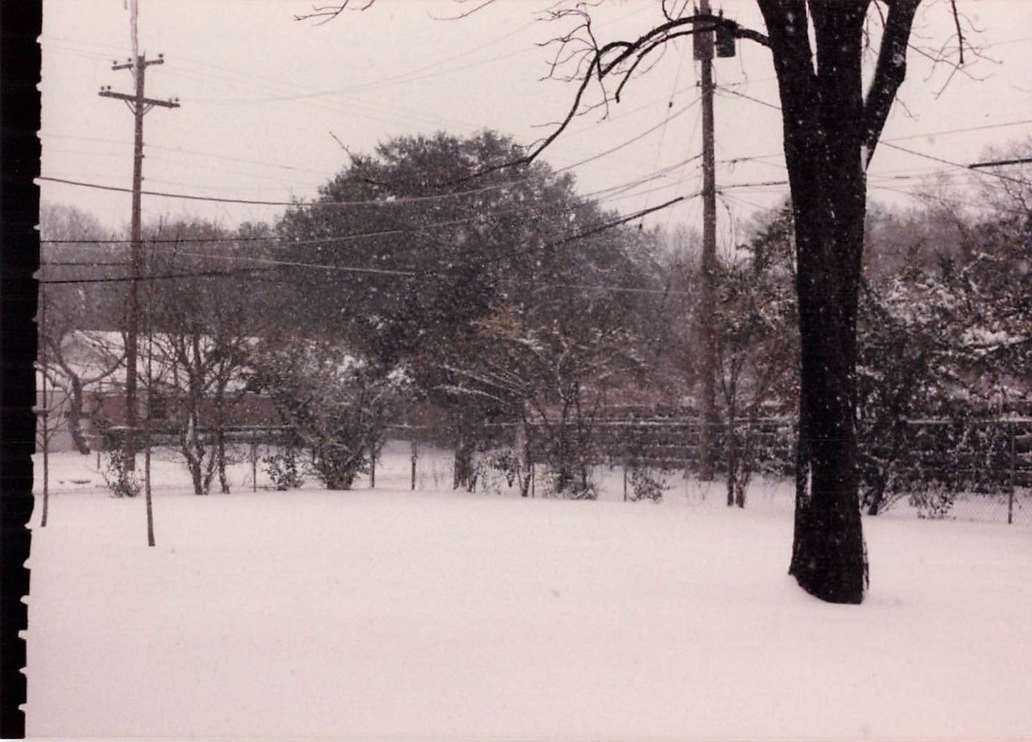 Snowy Backyard Winter Scene 1970s Snapshot Photograph Residential Trees