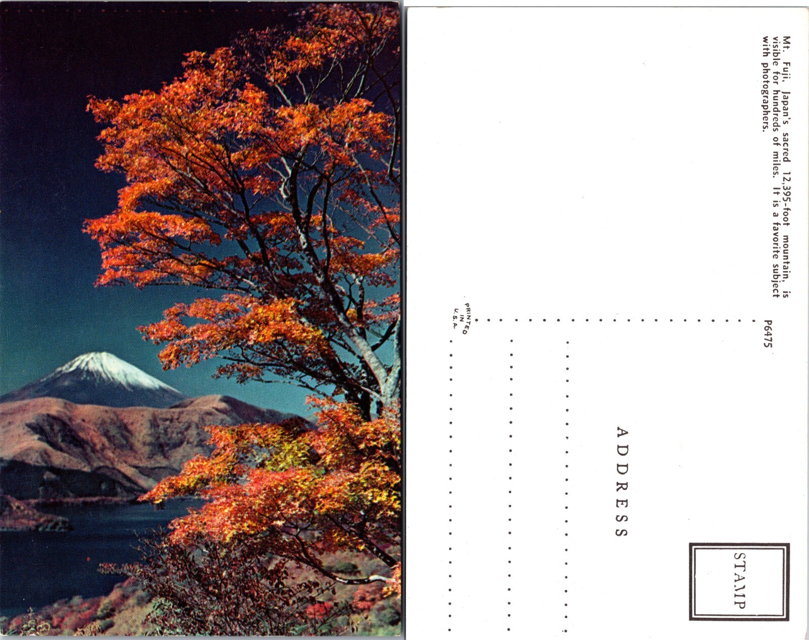 Mount Fuji Autumn Leaves and Lake Scene Japan Postcard