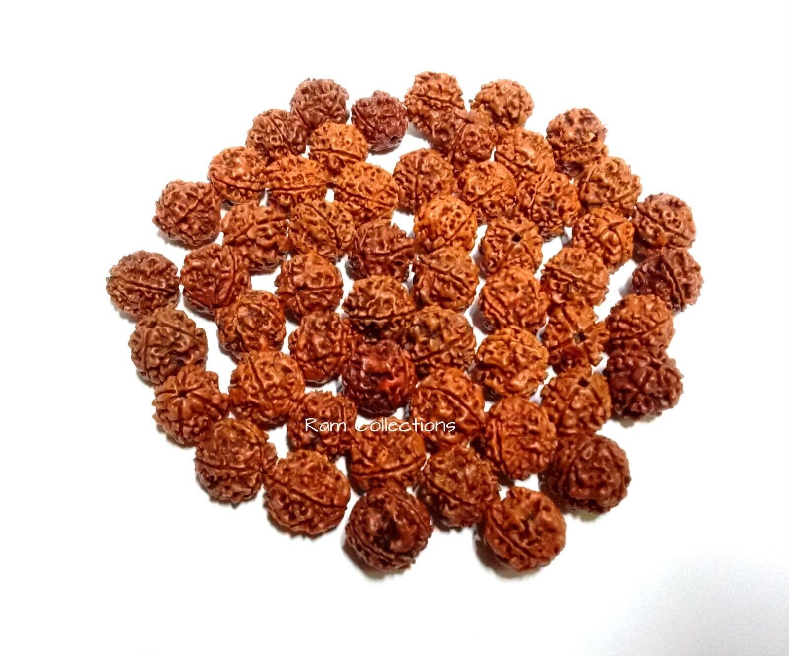 10 Pieces 4 Mukhi Rudraksha Four Face Rudraksh Nepal Origin Energized