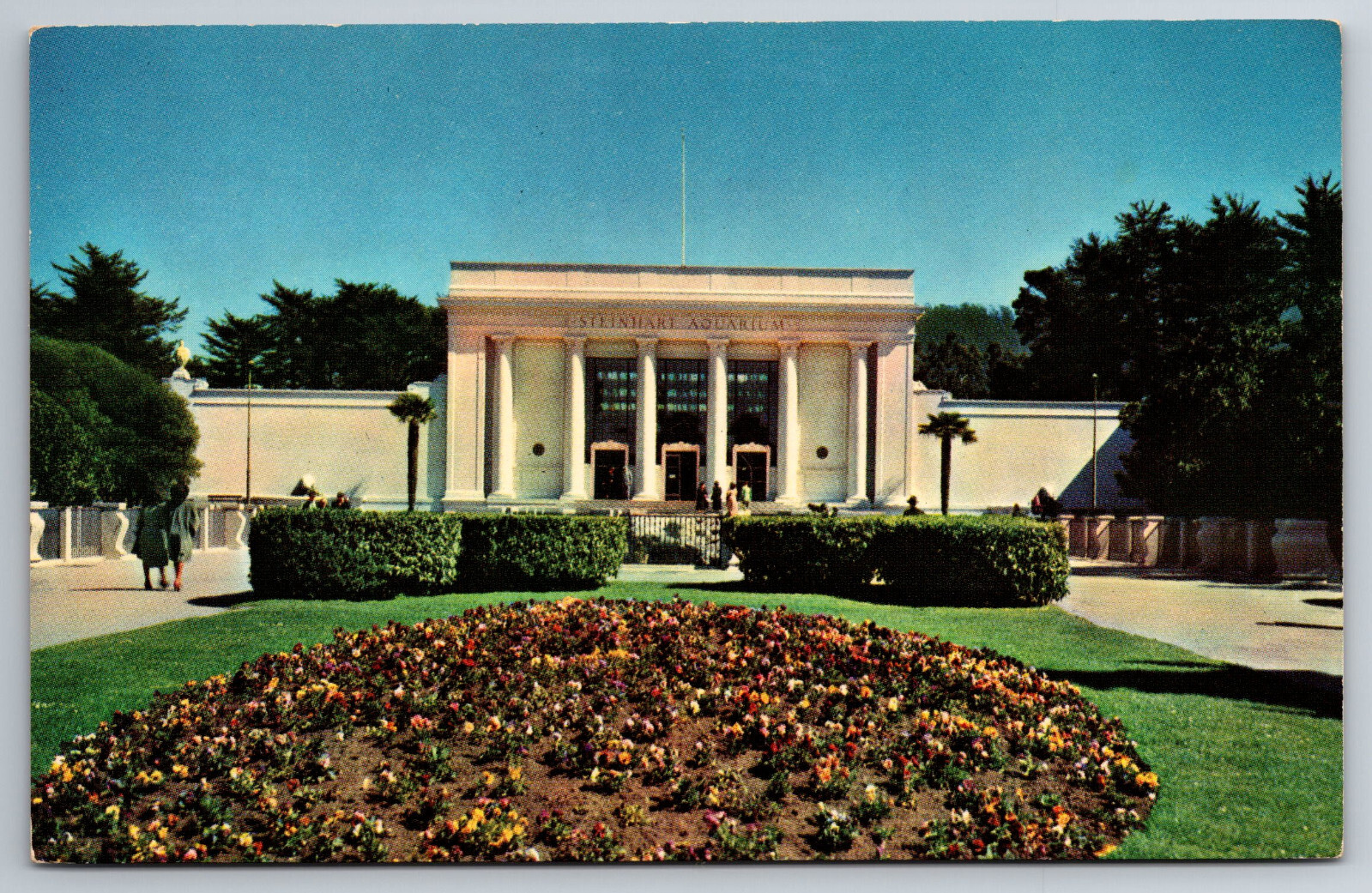 Vintage Postcard CA San Francisco Golden Gate Park Steinhart Aquarium -2777