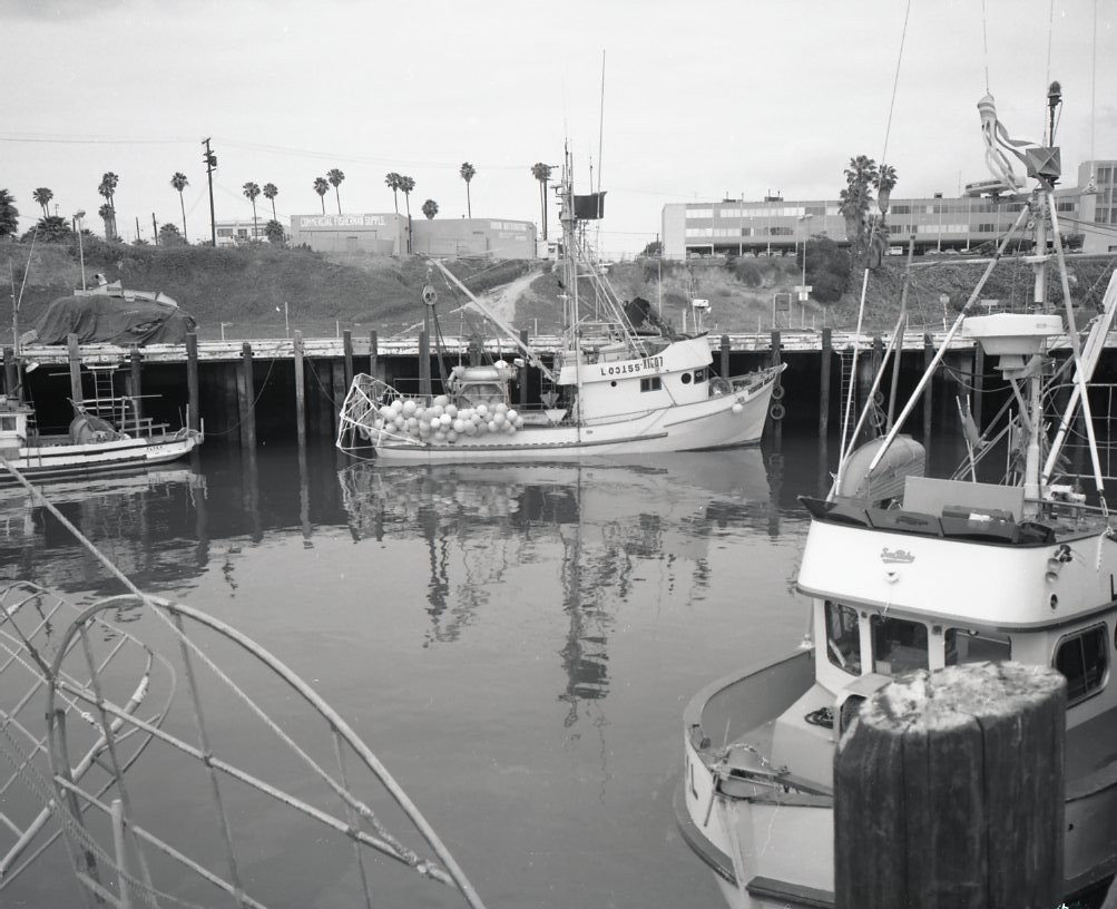 A24 Negative 1970’s Fishing Boats Harbor Marina 129a