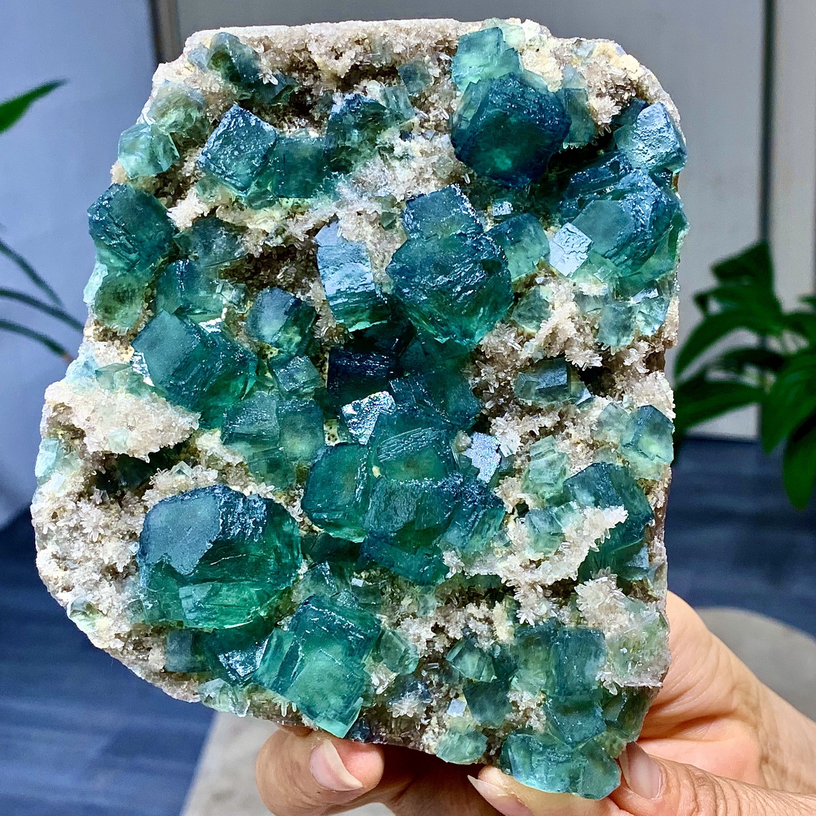 1.44LB Rare transparent green cubic fluorite mineral crystal sample/China