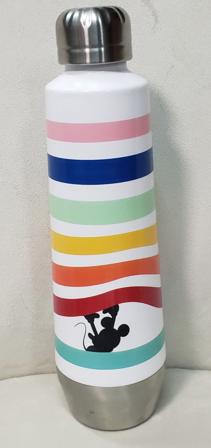 Disney MICKEY MOUSE Rainbow Striped Stainless Steel Bottle – 16oz. – Target