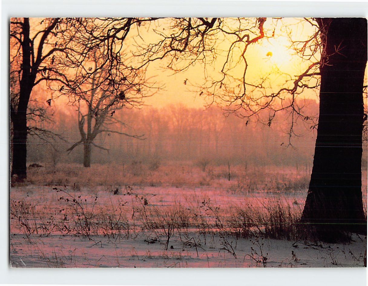 Postcard Winter Sunrise