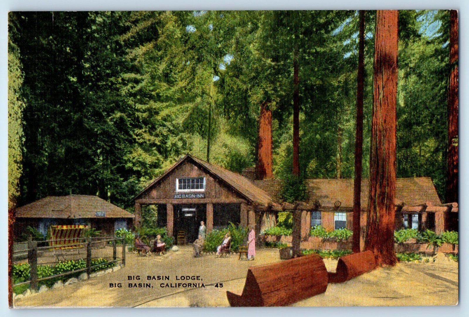 c1940 Big Basin California CA Vintage Postcard Lodge Dining Room Kitchen Patio