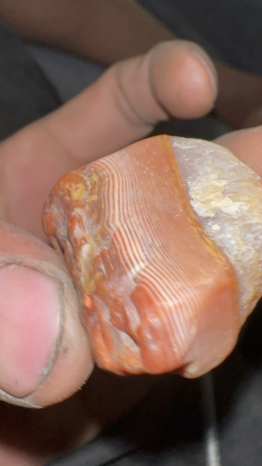 Lake Superior Agate Separate Float Faces Incredible Bands And Amazing Eye Clean