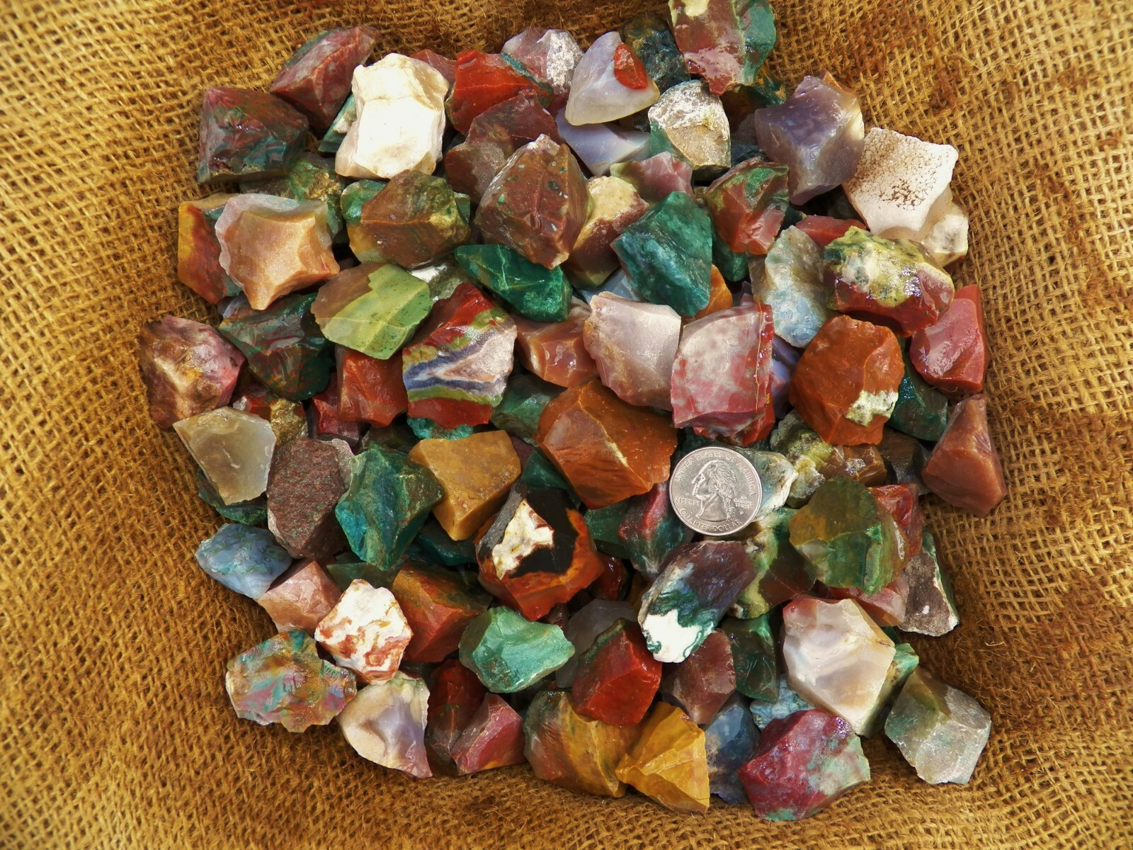 1000 Carat Lots of Fancy Jasper Rough – Plus a FREE Faceted Gemstone