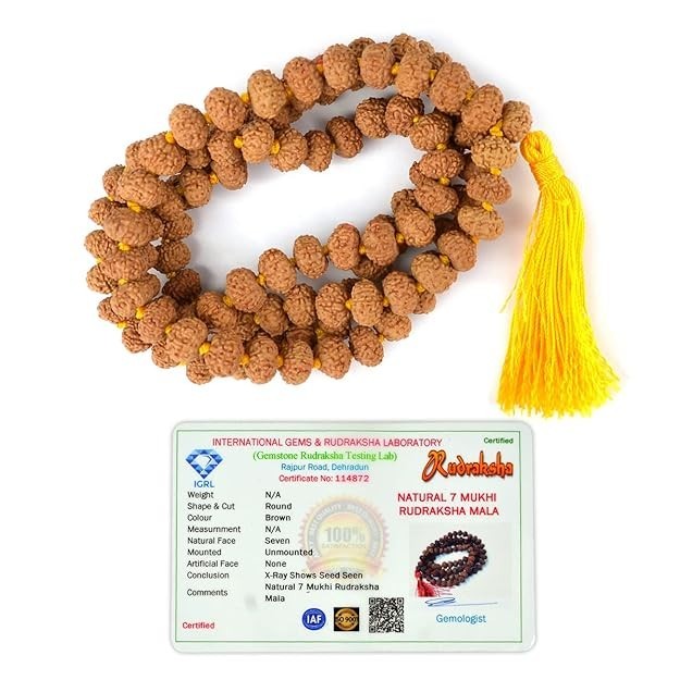 LAB CERTIFIED 7 Mukhi RUDRAKSHA Rudraksh Mala ROSARY 108+1 Bead Prayer Beads #3