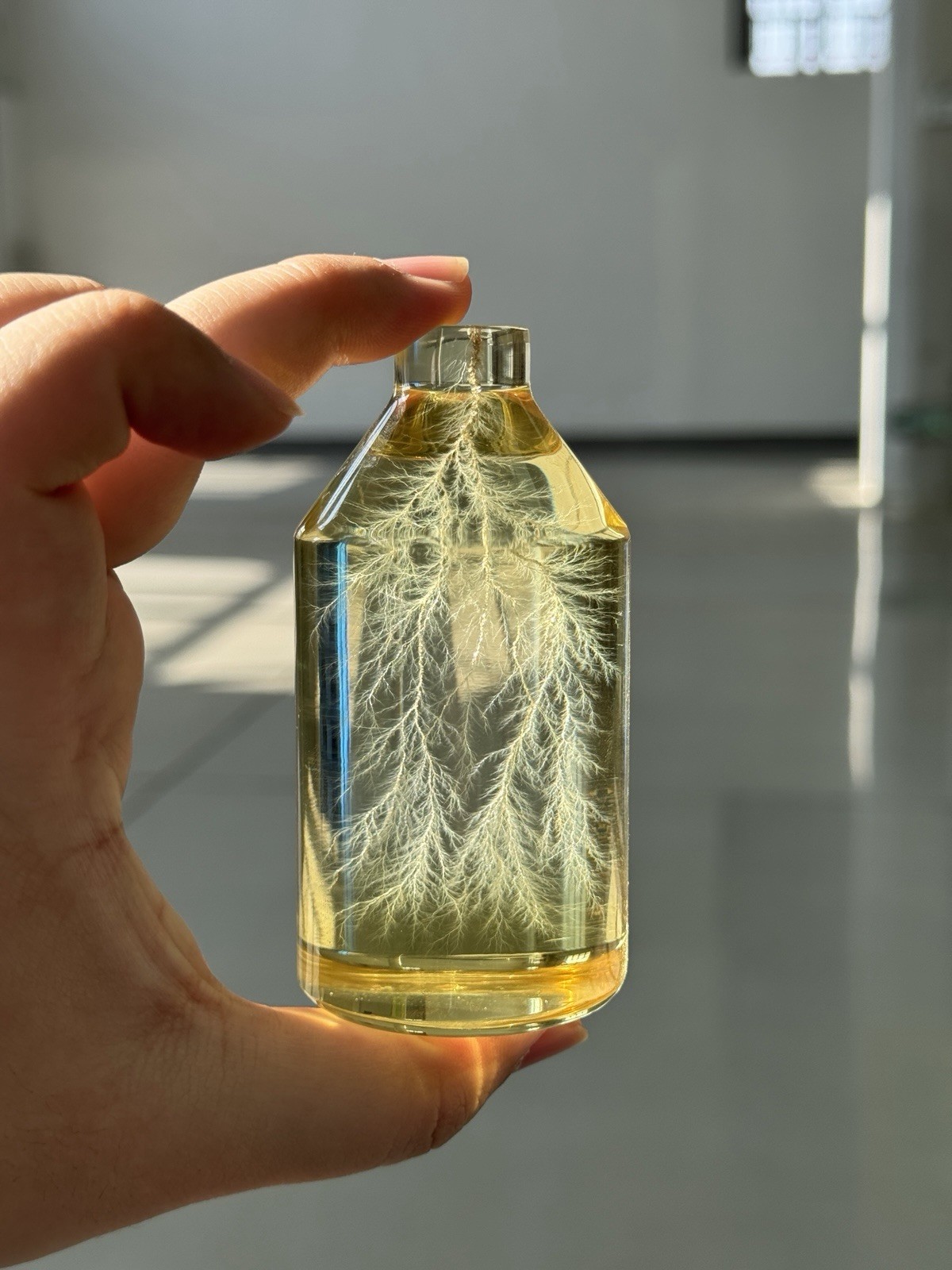 Lichtenberg Figure 2×3 Bottled Lightning with Engraving service- DM for specific