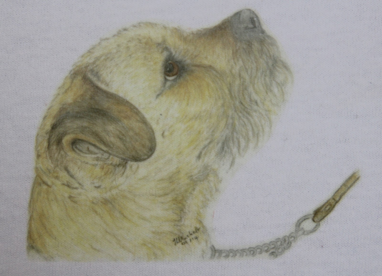 Border Terrier T-Shirts 3-6 months to XXL 3 unique drawn designs