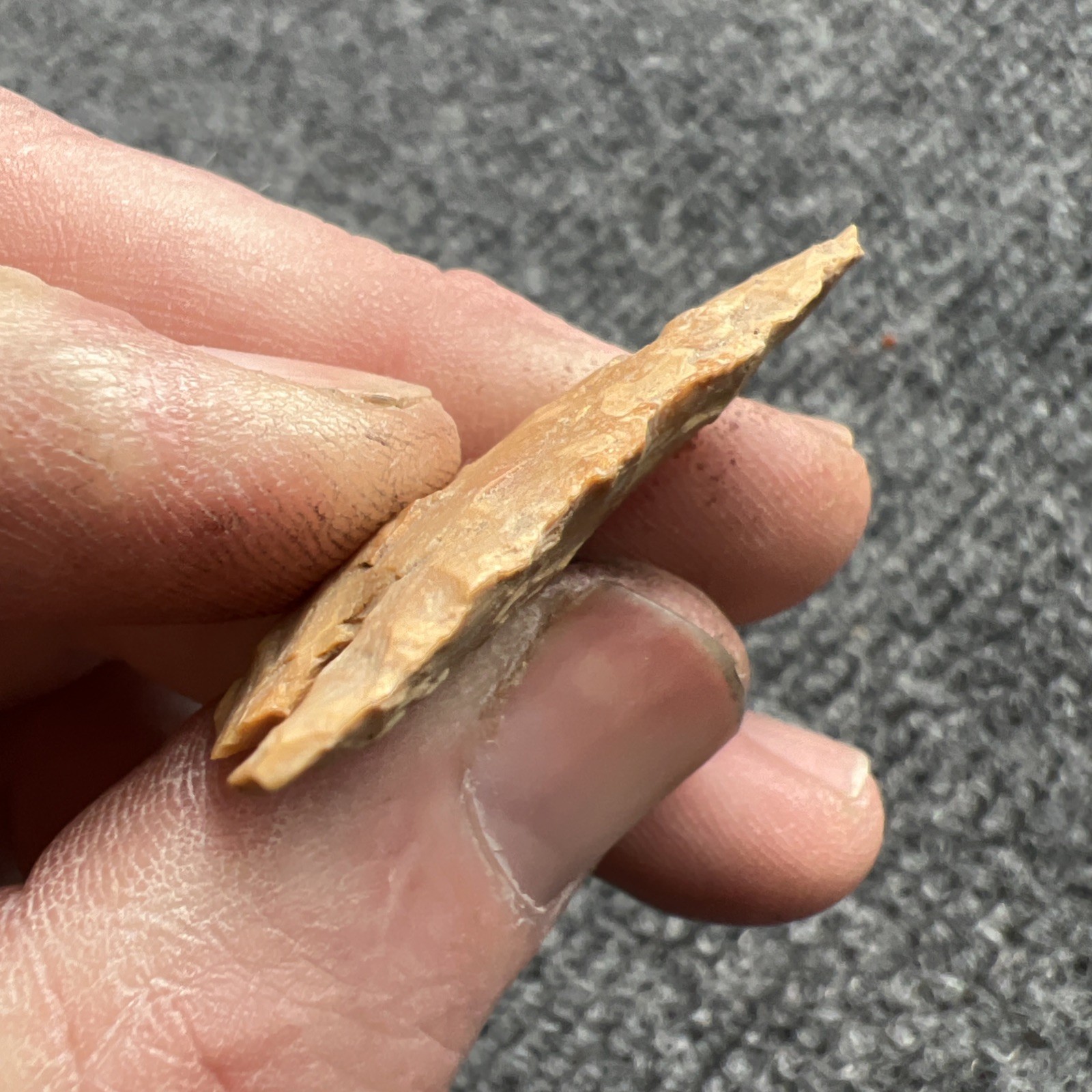 Indian Arrowhead Found By Jeff Thompson 1968-2003 In Polk Co Florida @1603
