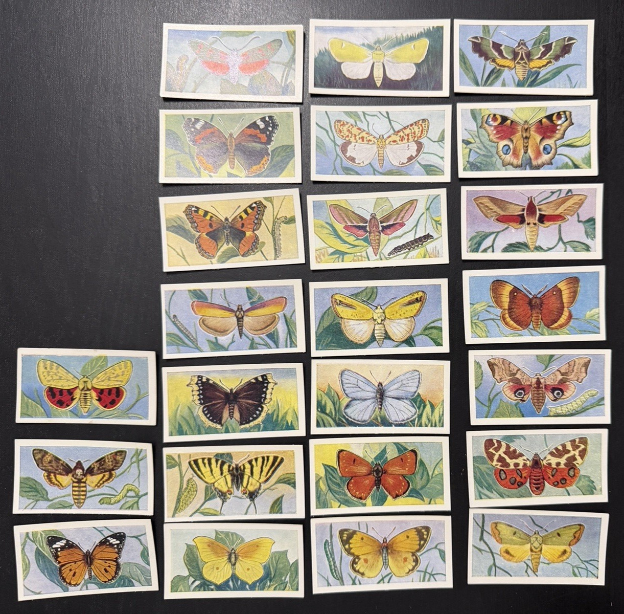 1958 Swettenhams Tea Butterflies & Moths Complete 25 Card Set Near Mint NM Vtg