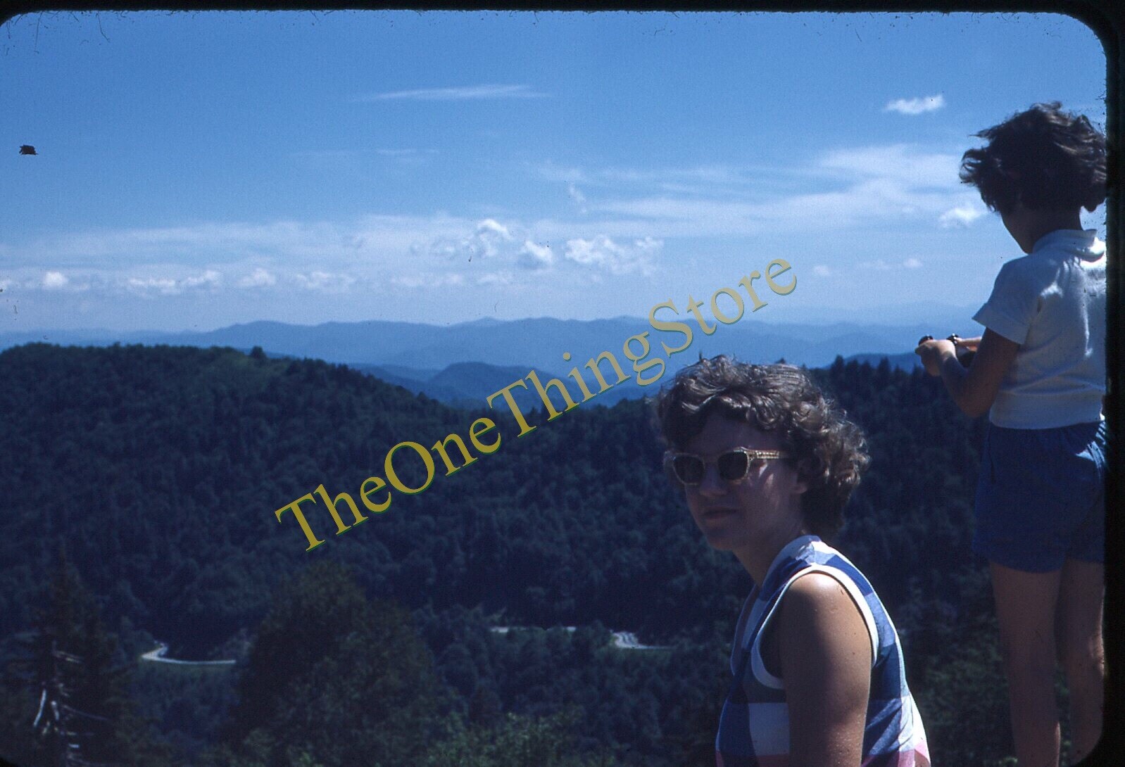 Pretty Woman Glasses Newfound Gap 1950s 35mm Slide Red Border Kodachrome Trees