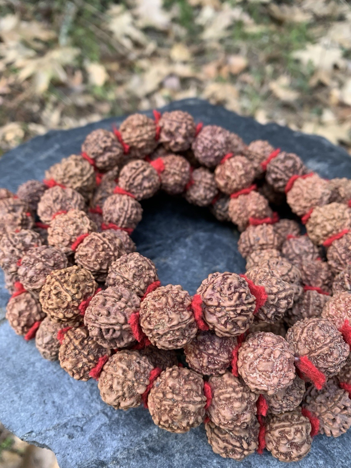 Himalaya Dark Rudraksha Shiva Japa Mala 108 Seeds XL Size Handmade in Nepal
