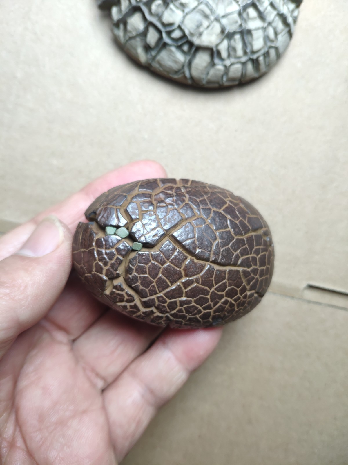 182g beautiful tortoise back pattern stone Turtle grain stone Landscape stone