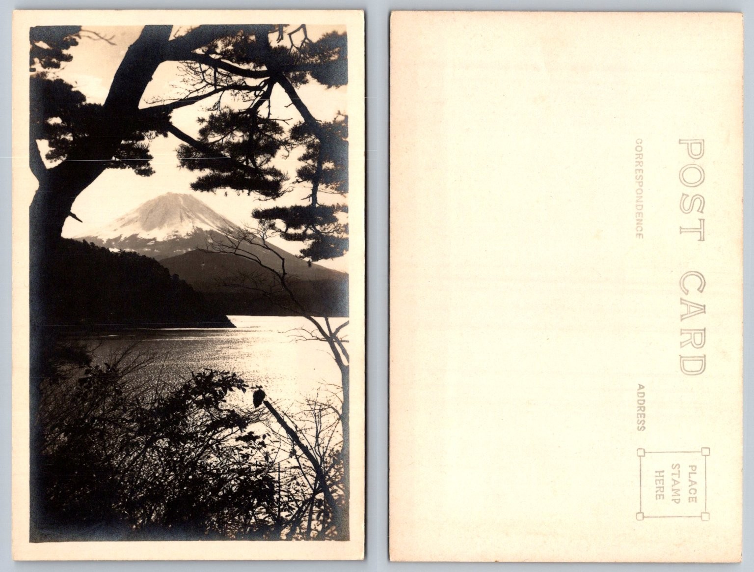 Vintage RPPC Mount Fuji Lake Ashi Japan Pine Trees Landscape Postcard Unposted
