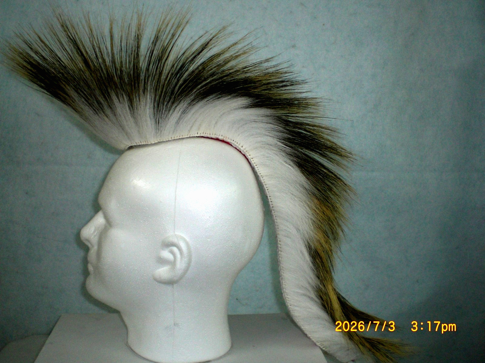 Porcupine Roach, White 18-inch out, White with Red Striped Yarn Base